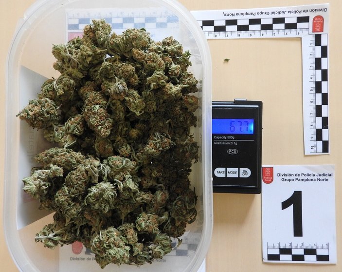 Marihuana incautada en San Jorge. FOTO: POLICÍA FORAL
