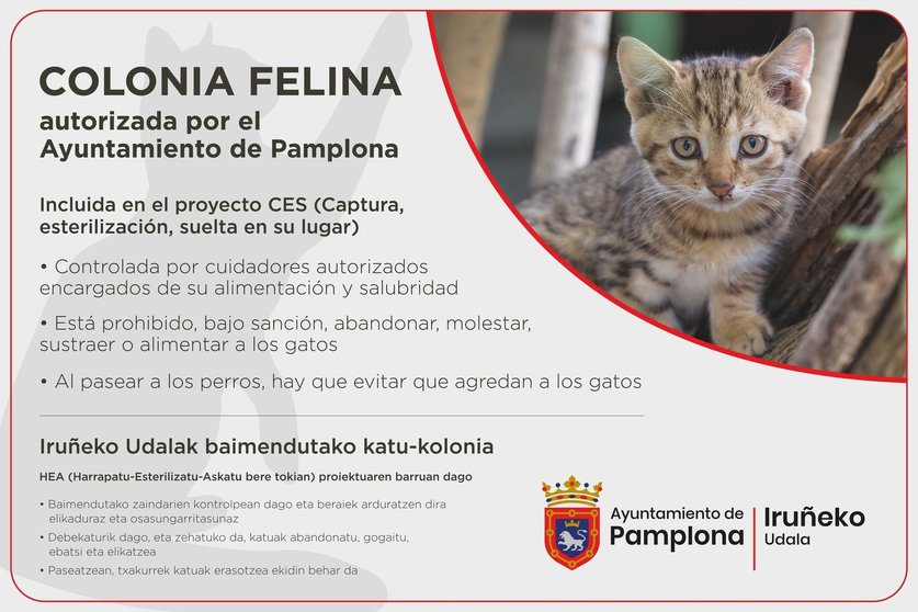 cartel_colonias_felinas