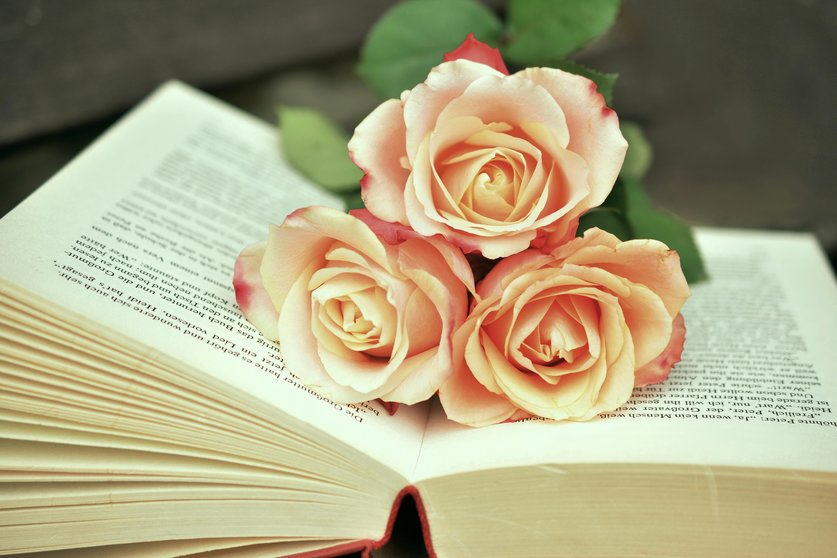 Libro y rosas.
PIXABAY