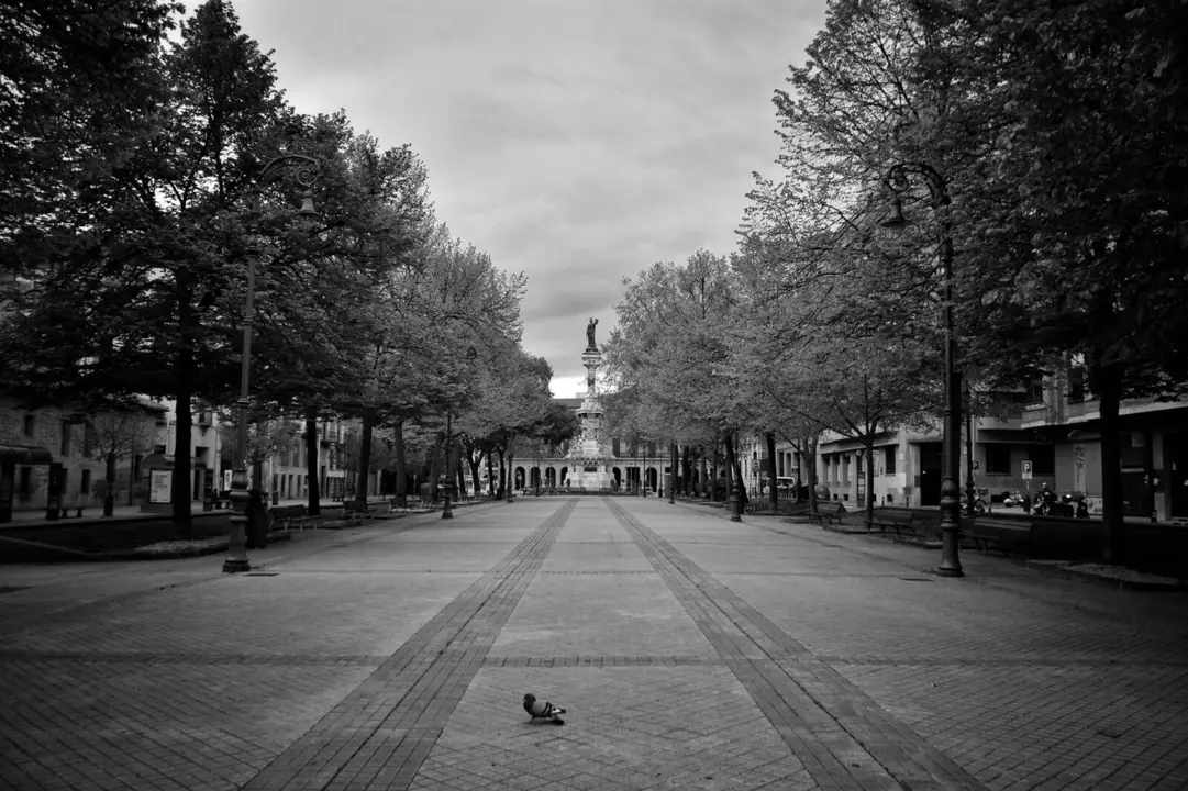 PHOTO-2020-04-19-22-00-06