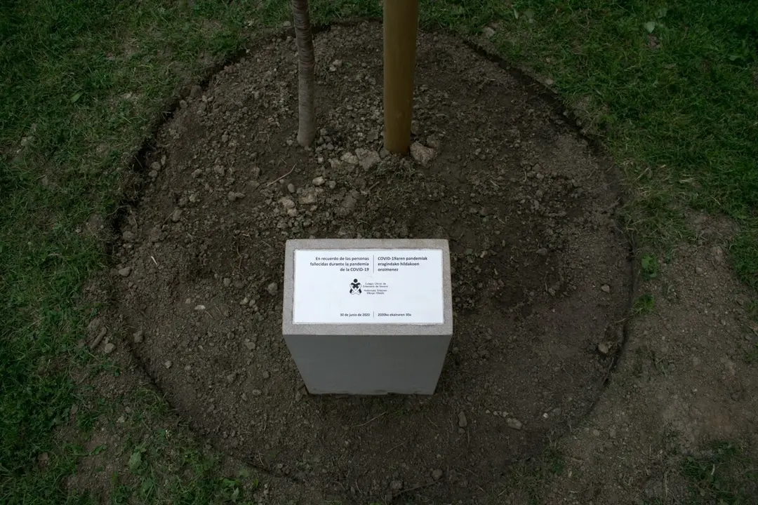 DSC_0816-2