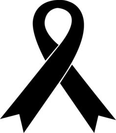 Lazo negro.