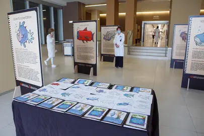 Exposici&oacute;n