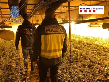 Foto_Operaci&oacute;n Breda_001