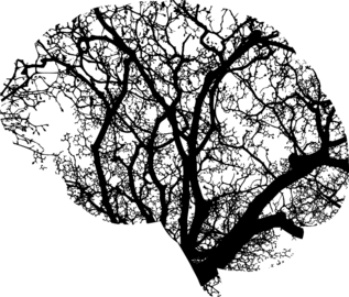 brain-2146817_1280 (1)