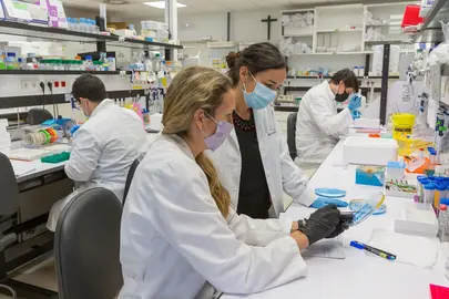 investigaci&oacute;n