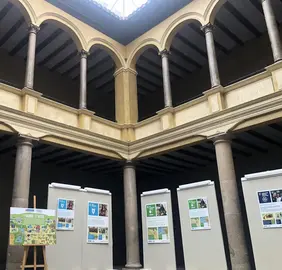 Exposici&oacute;n ODS-FVF 1