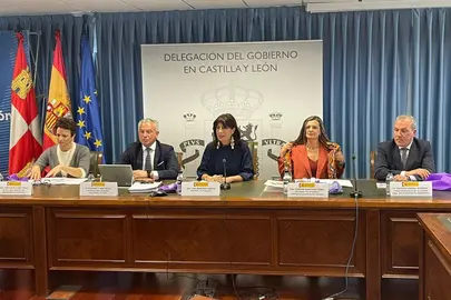 La ministra de Igualdad, Ana Redondo, durante la reuni&oacute;n con las Unidades de Coordinaci&oacute;n contra la Violencia sobre la Mujer y Unidades de Violencia sobre la Mujer de las Delegaciones y Subdelegaciones del Gobierno. (Pool Moncloa)