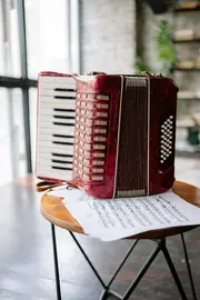 Acorde&oacute;n.

Foto de Yan Krukau: https://www.pexels.com/es-es/foto/mesa-instrumento-musical-acordeon-tiro-vertical-8520119/