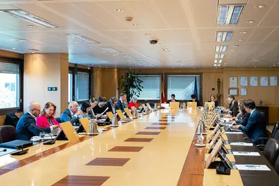 Primera reuni&oacute;n de la Comisi&oacute;n de Seguimiento del Ingreso M&iacute;nimo Vital. POOL MONCLOA