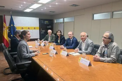 La ministra de Sanidad, M&oacute;nica Garc&iacute;a, durante su reuni&oacute;n con representantes de la Federaci&oacute;n de Asociaciones Cient&iacute;fico-M&eacute;dicas Espa&ntilde;olas. POOL MONCLOA
