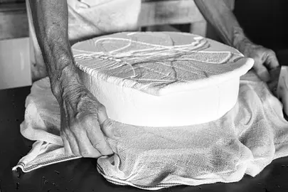 Fabricaci&oacute;n de queso.
Imagen de <a href="https://pixabay.com/es/users/monikas_wunderwelt-9556472/?utm_source=link-attribution&utm_medium=referral&utm_campaign=image&utm_content=8157681">Monika</a> en <a href="https://pixabay.com/es//?utm_source=link-attribution&utm_medium=referral&utm_campaign=image&utm_content=8157681">Pixabay</a>