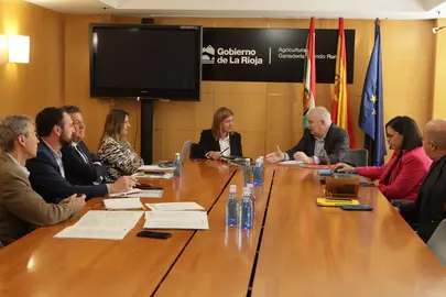 El consejero Aierdi junto a la consejera Manzanos, con sus respectivos equipos, en la reuni&oacute;n mantenida en la sede del Gobierno de La Rioja. GN