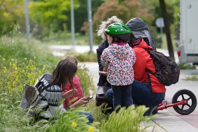 Salida organizada por el Museo de Ciencias el a&ntilde;o pasado, con motivo del Biomarat&oacute;n de Flora.
Universidad de Navarra