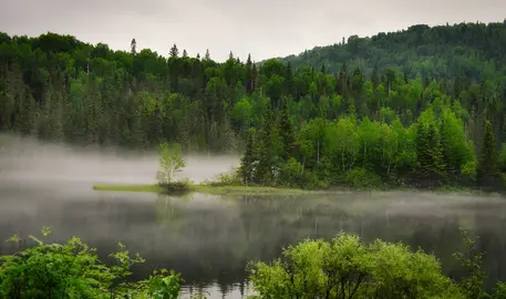 Imagen de <a href="https://pixabay.com/es/users/alainaudet-631535/?utm_source=link-attribution&utm_medium=referral&utm_campaign=image&utm_content=7280867">Alain Audet</a> en <a href="https://pixabay.com/es//?utm_source=link-attribution&utm_medium=referral&utm_campaign=image&utm_content=7280867">Pixabay</a>