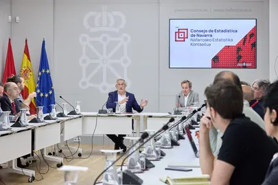 El vicepresidente F&eacute;lix Taberna y Pablo Cebri&aacute;n han presidido la reuni&oacute;n del Consejo de Estad&iacute;stica de Navarra celebrado esta ma&ntilde;ana en el Palacio de Navarra.  GN