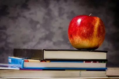 El nuevo Decreto Foral de comedores escolares incide en la alimentaci&oacute;n saludable.  GN