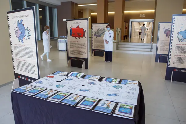 Exposici&oacute;n