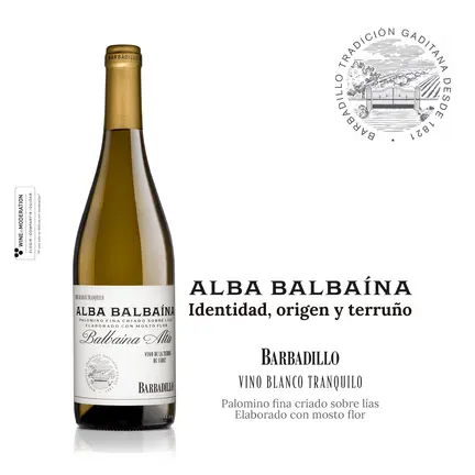Alba Balba&iacute;na (Creatividad)