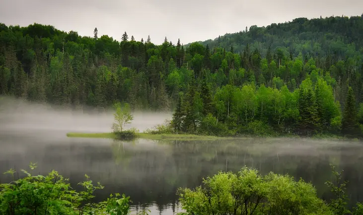 Imagen de <a href="https://pixabay.com/es/users/alainaudet-631535/?utm_source=link-attribution&utm_medium=referral&utm_campaign=image&utm_content=7280867">Alain Audet</a> en <a href="https://pixabay.com/es//?utm_source=link-attribution&utm_medium=referral&utm_campaign=image&utm_content=7280867">Pixabay</a>