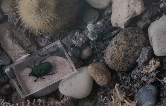 El fot&oacute;grafo Chema Gil presenta en Ciudadela su exposici&oacute;n &lsquo;Antinatura&rsquo;, una reflexi&oacute;n sobre la artificializaci&oacute;n de la naturaleza. AP