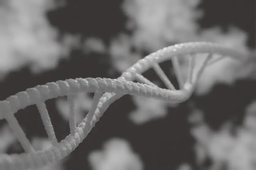 dna-5378928_1920