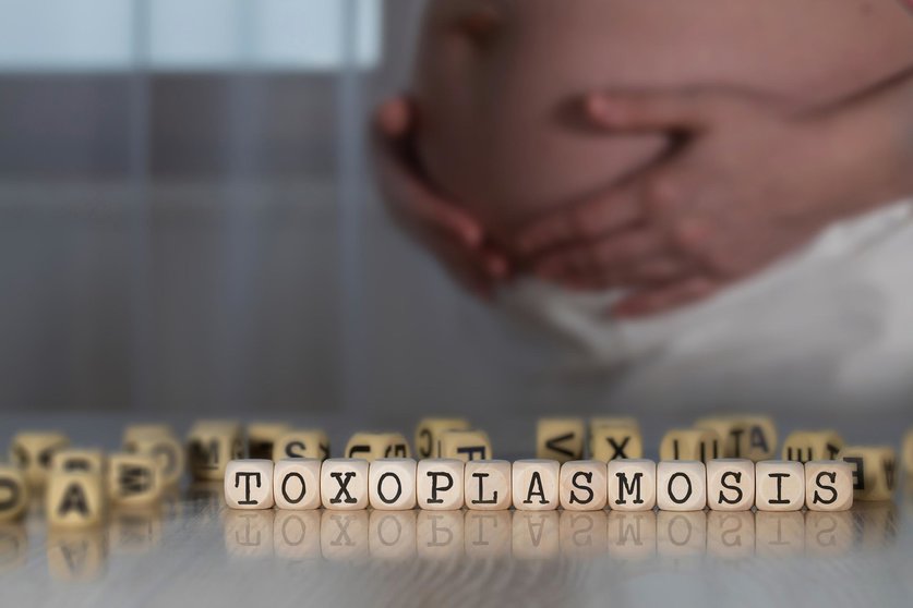 Word TOXOPLASMOSIS composed of wooden letters. Pregnant woman in the background