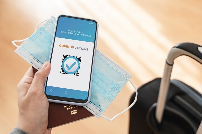 Woman holding International certificate of vaccination for coronavirus on mobile phone app inside airport - Focus on screen (Woman holding International certificate of vaccination for coronavirus on mobile phone app inside airport - Focus on screen, A