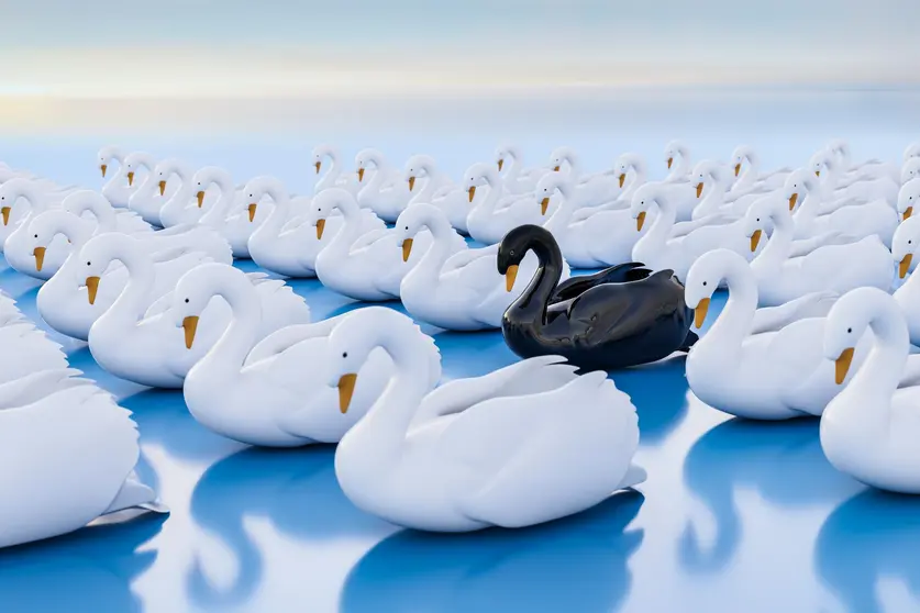 3d render: Black swan event - term for a very seldom event with a major effect often resulting in a stock market crash. One black swan within a swarm of white swans.