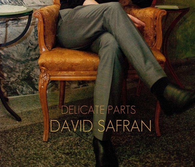 David_Safran_-_Delicate_Parts_Album_Art_1
