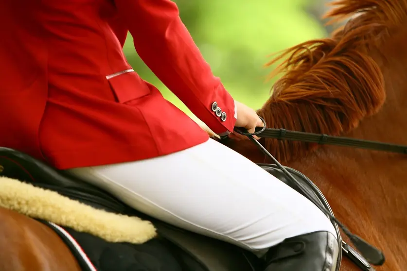 horse-3165771_1920