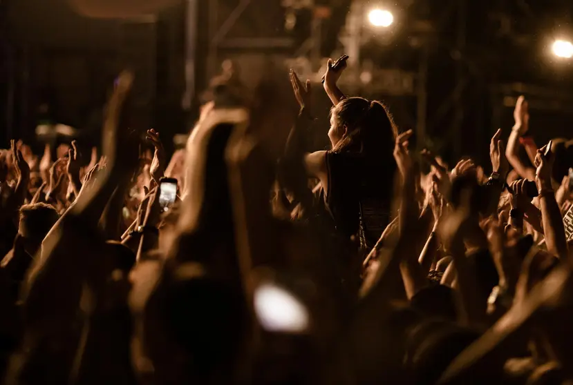 Large group of people cheering and having fun at music concert.