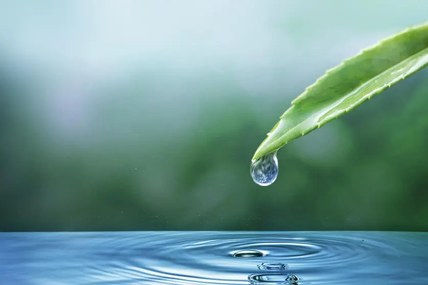 Ecosystem water drop nature background for earth day campaign