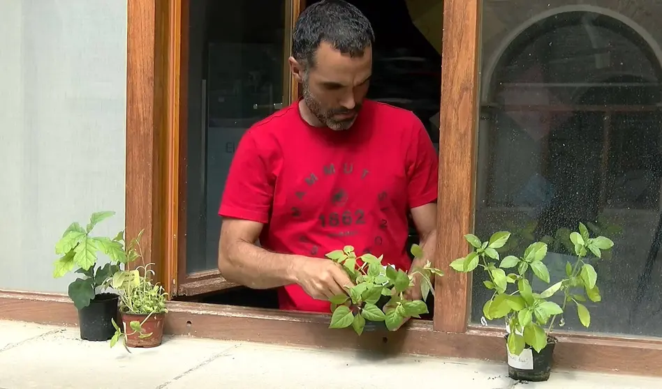 Escuela de Sostenibilidad. Laboratorio de ciencia ciudadana y calidad del aire: charla con resultados. Museo de Educación Ambiental. AP