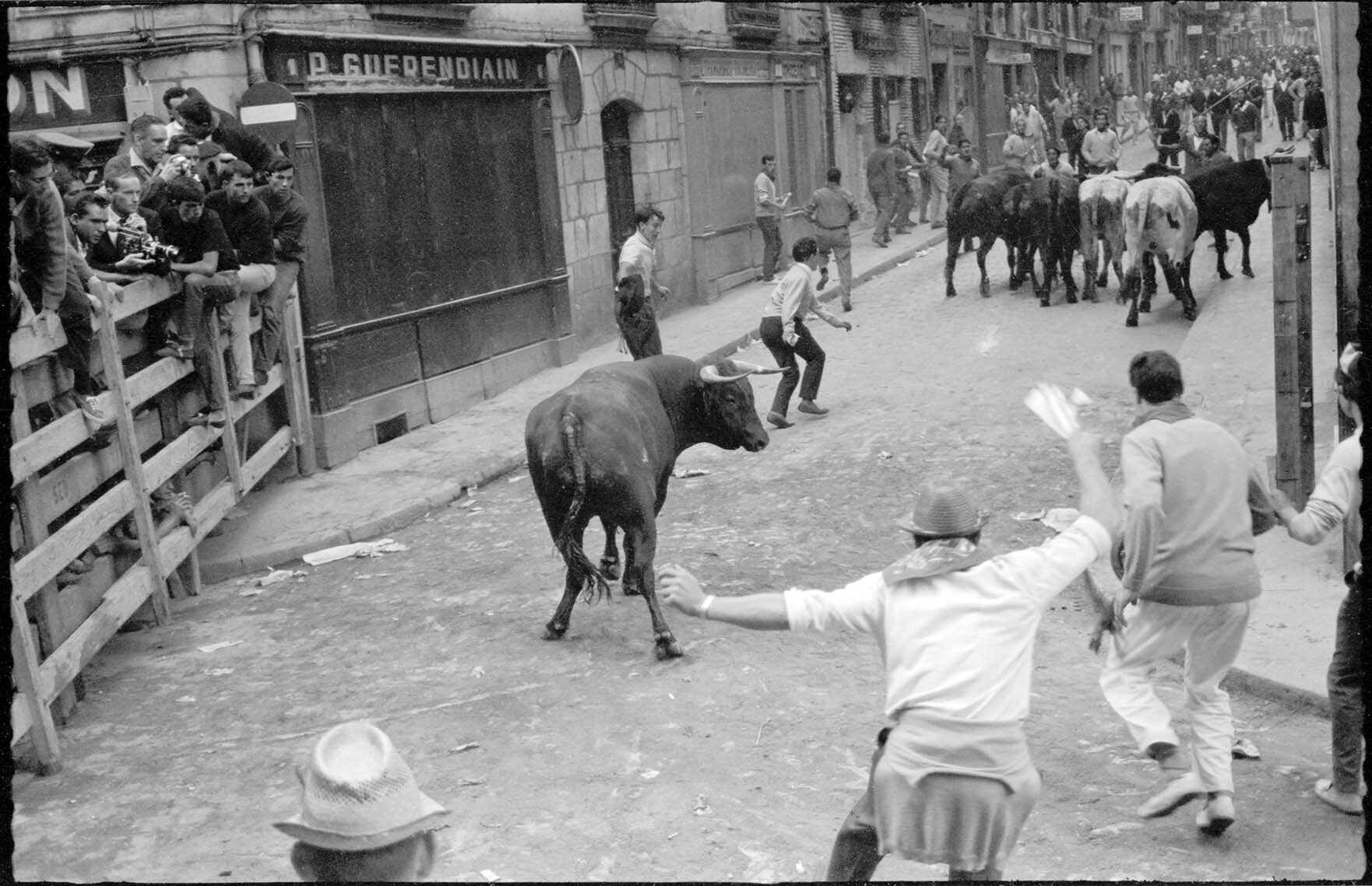 Rollo negativo 35 mm, contenedor 35, rotulado: (1965 dia 14)