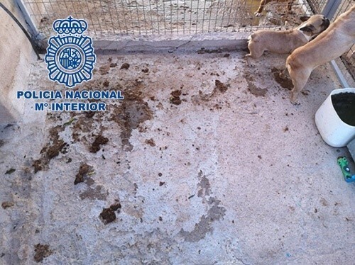 Animales rescatados 3
