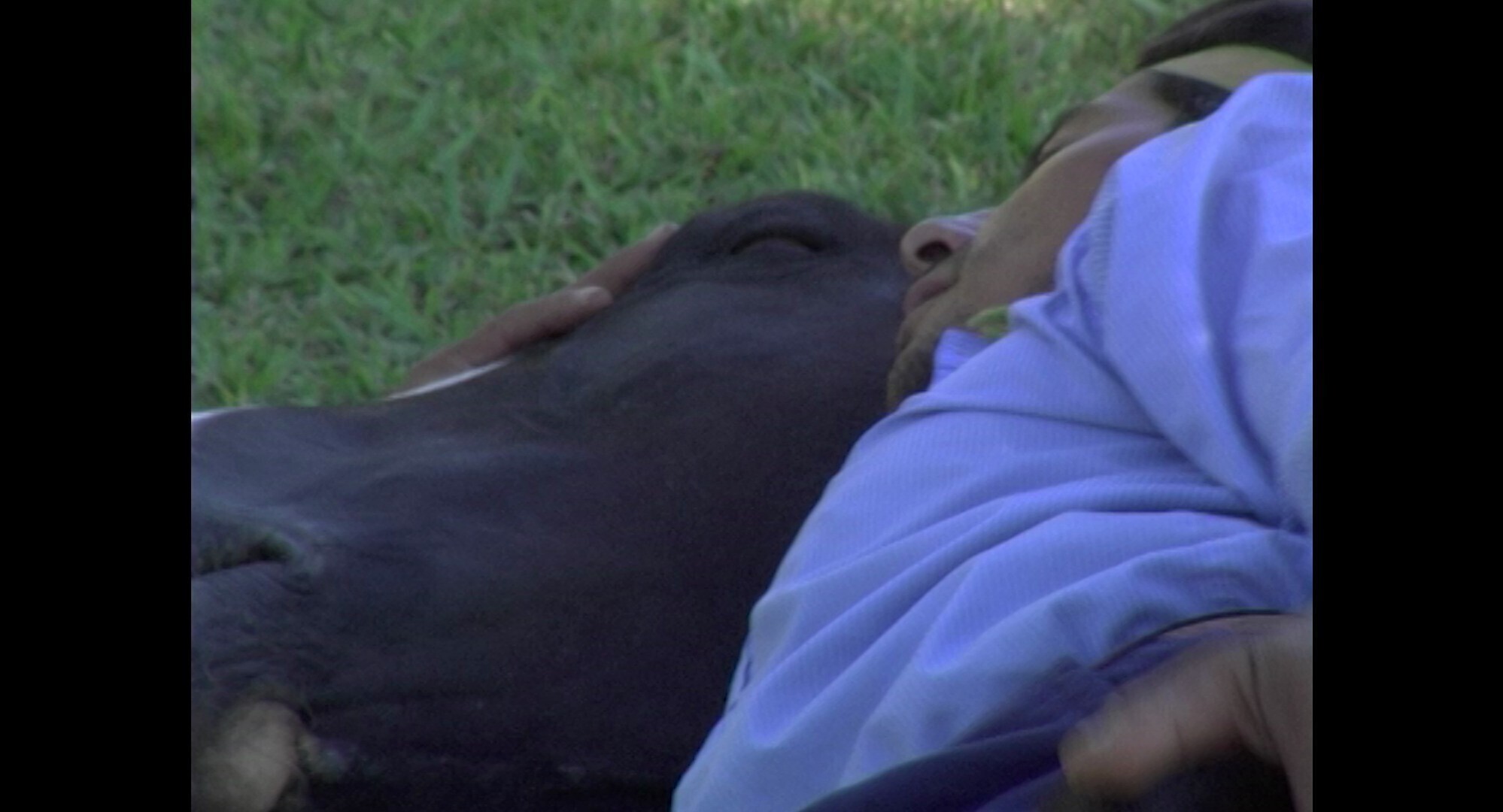 Jessicah Sarah Rinland__LasCartasQueNoFueronTambienSon