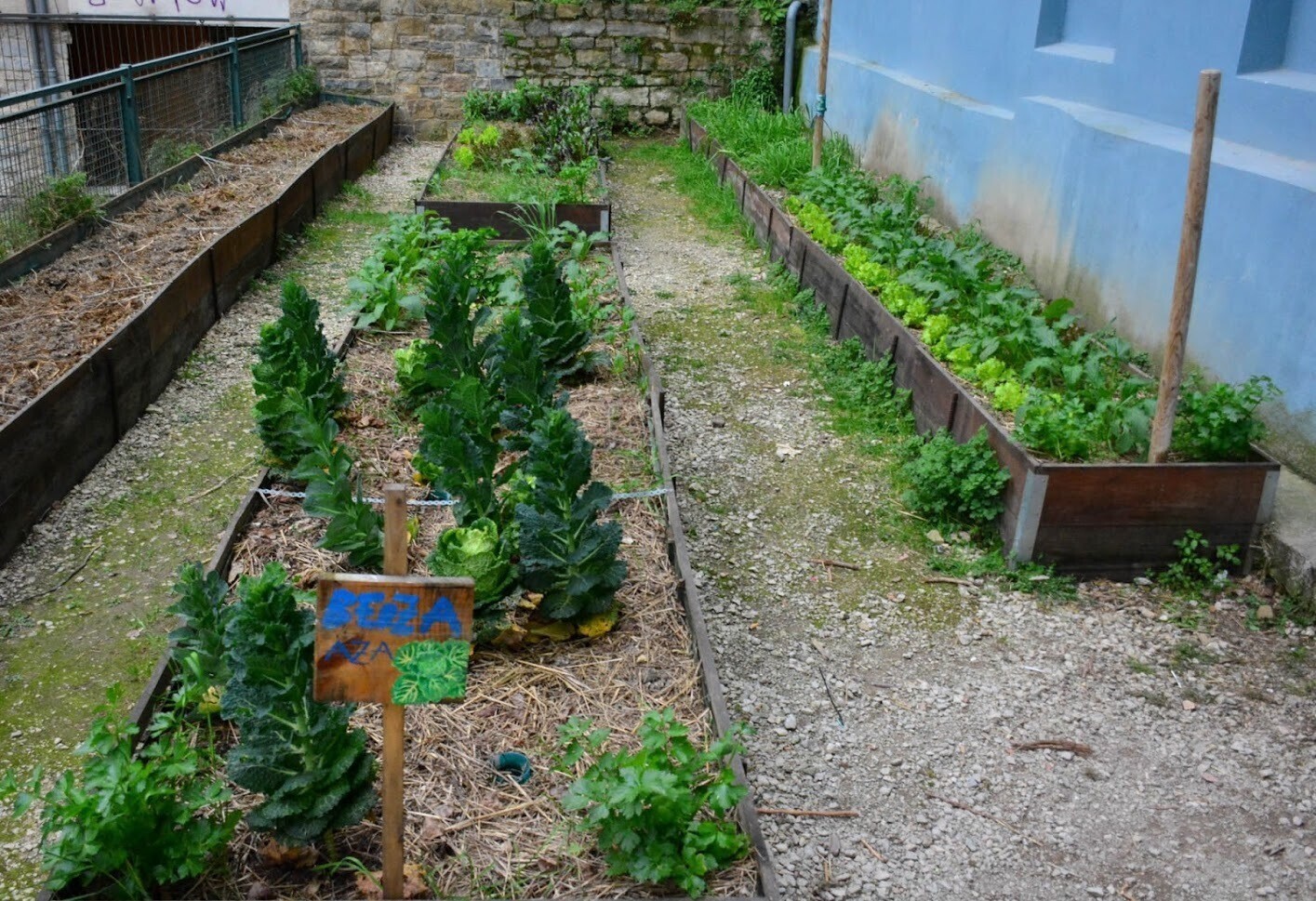 Piparrika Marzo 2021 (3)