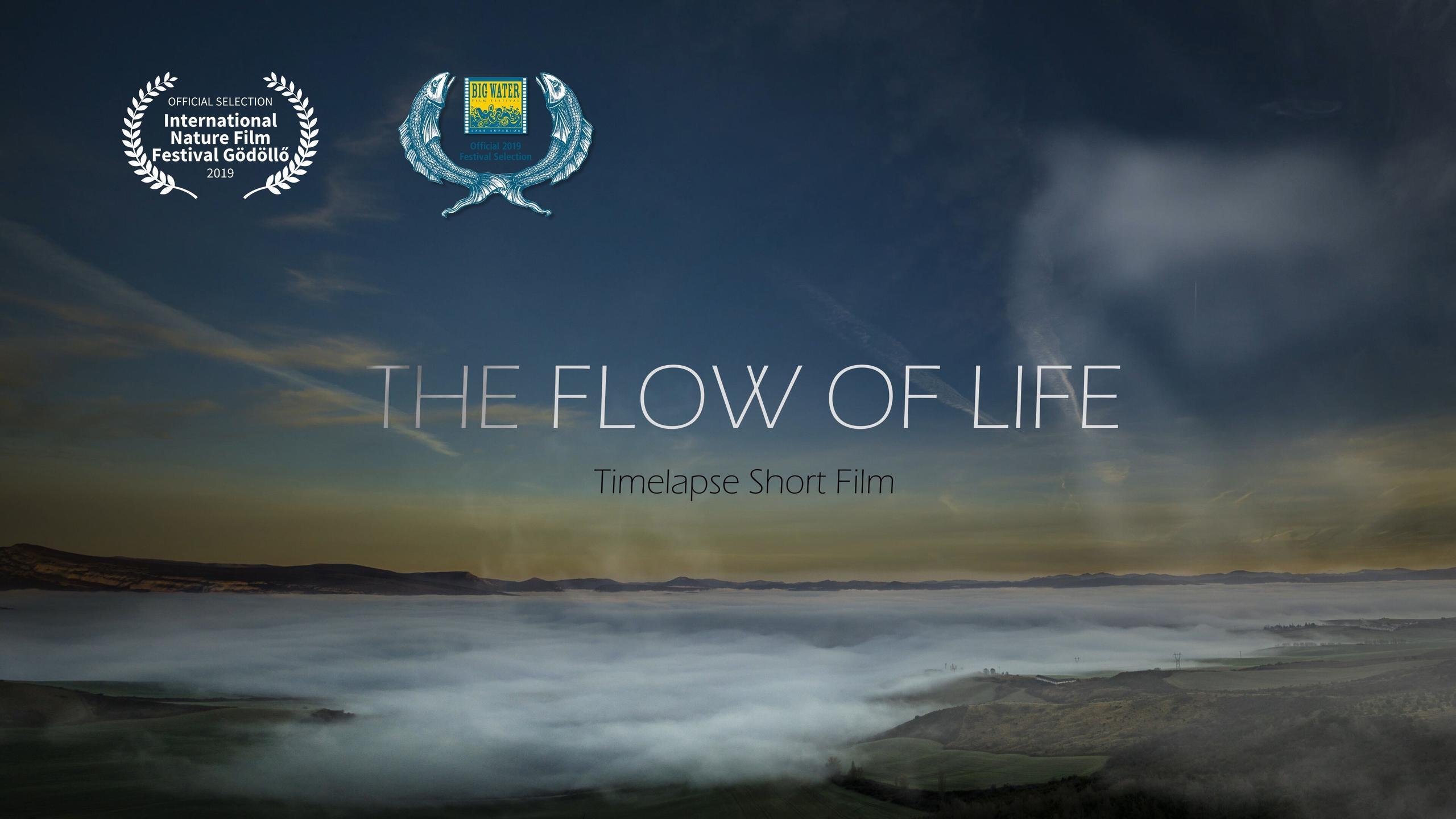 the flow of life