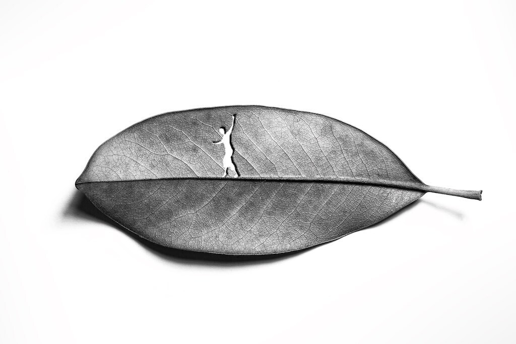 LA EQUILIBRISTA (1)