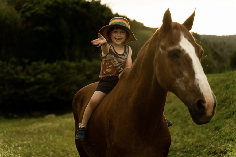 ARTICULO CABALLO MATIAS (1)
