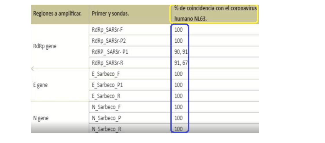 Fwd TEXTO PARA PUBLICAR (1)