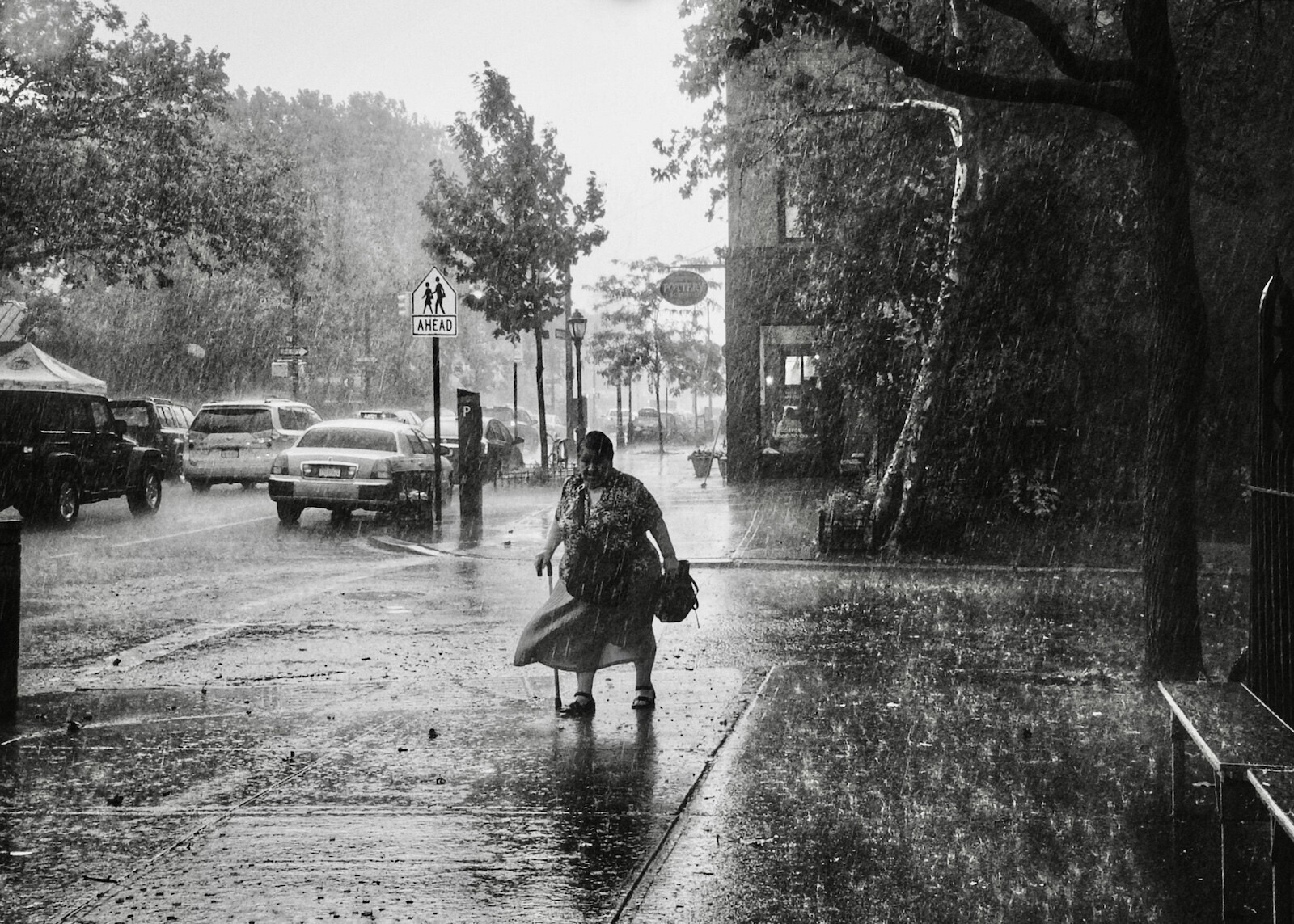 Summer Rain