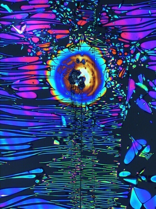 HR006 200x LD