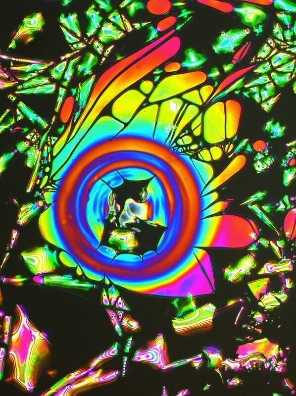 HR008 Rainbow flame 200x LD