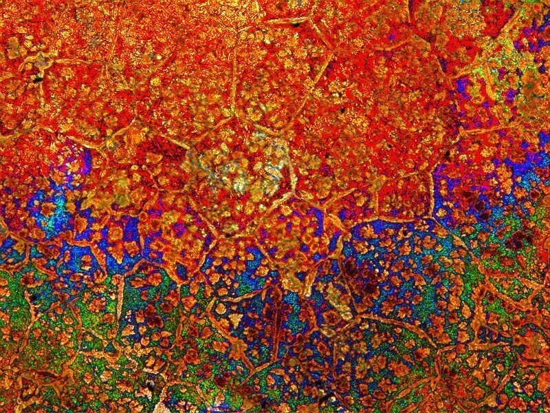 HR016 50x LD